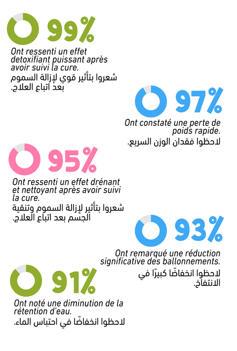 Full Pack Fat Free (BEST SELLER) - Shaitea